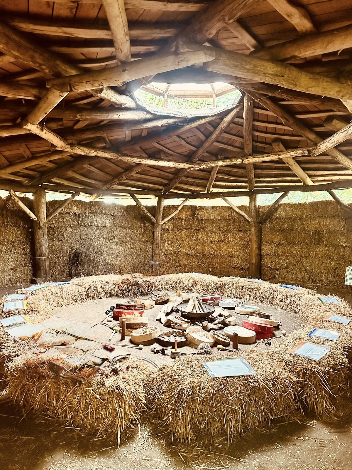 Awaken The Wild Women's Retreat in Nature