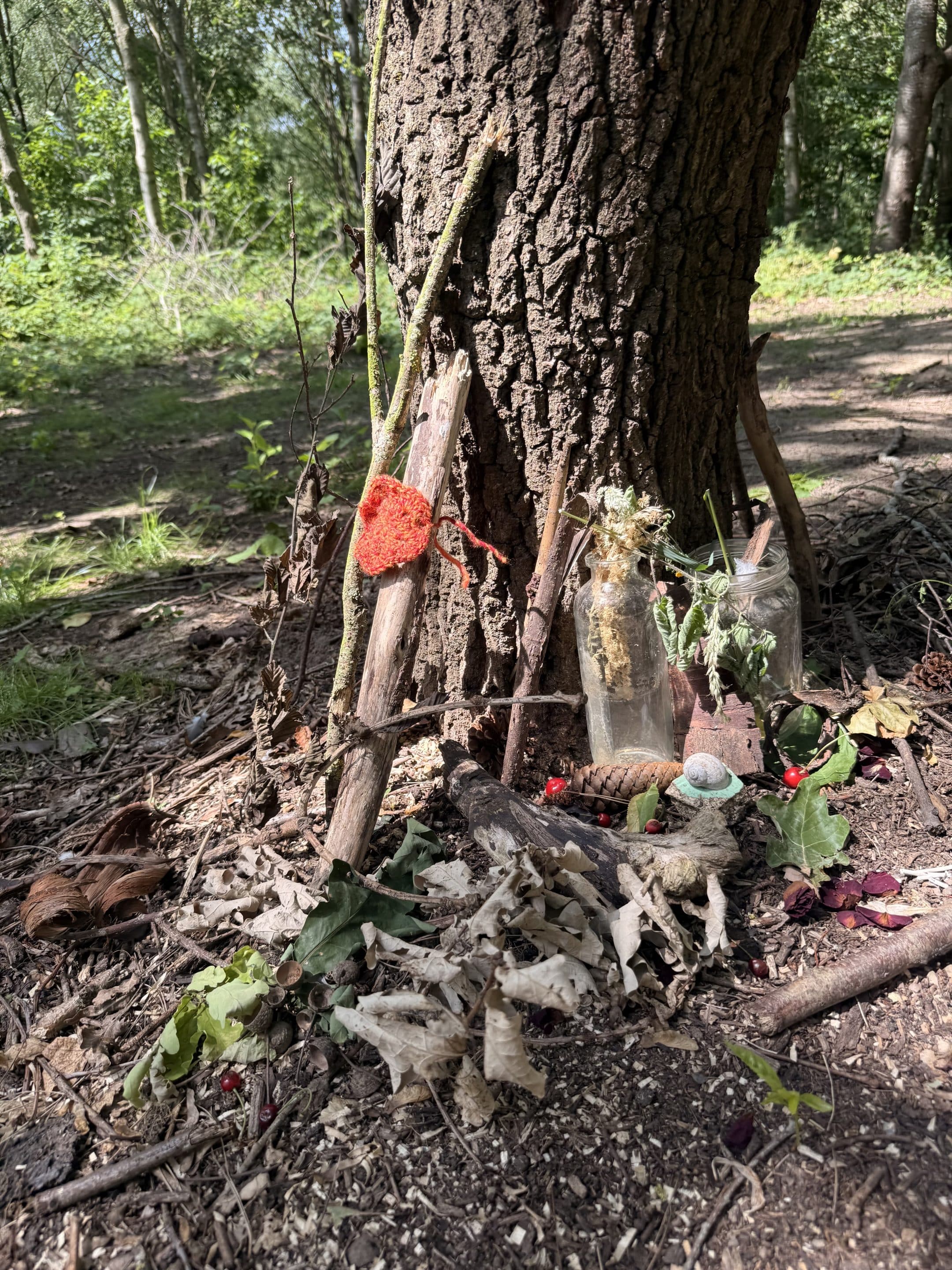 Awaken The Wild Women's Retreat in Nature