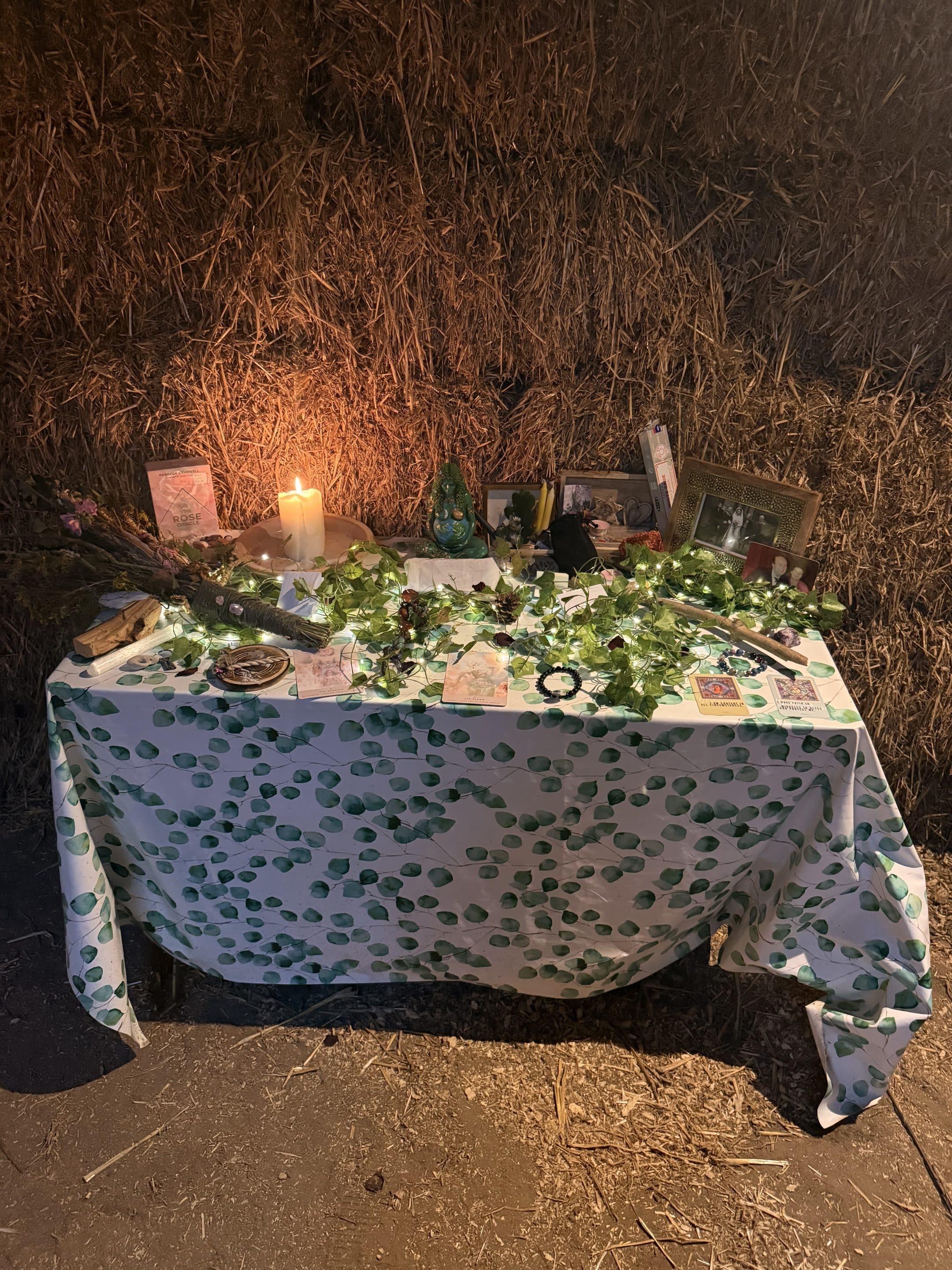 Awaken The Wild Women's Retreat in Nature